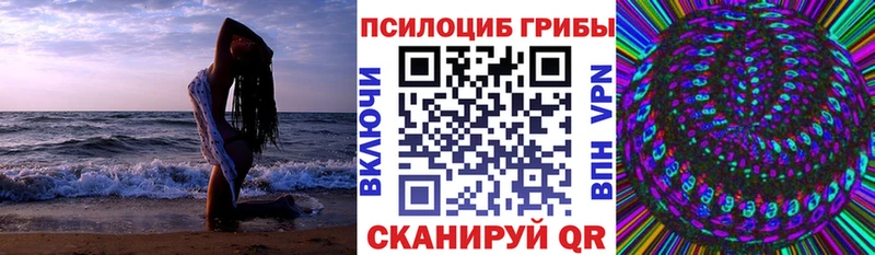 Галлюциногенные грибы Psilocybe  Купить закладки  Алексеевка 